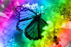 Spectrum%20butterfly